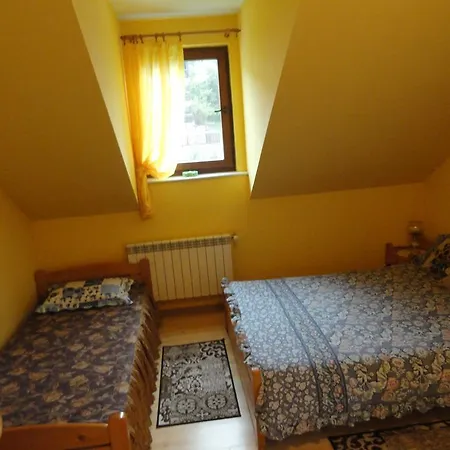 Homestay Willa Dniestrzanka W Centrum Krynicy Zdroj *