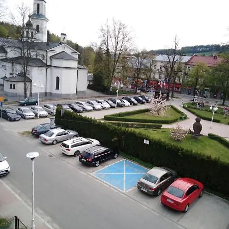 Willa Dniestrzanka W Centrum Krynicy Zdroj 民宿